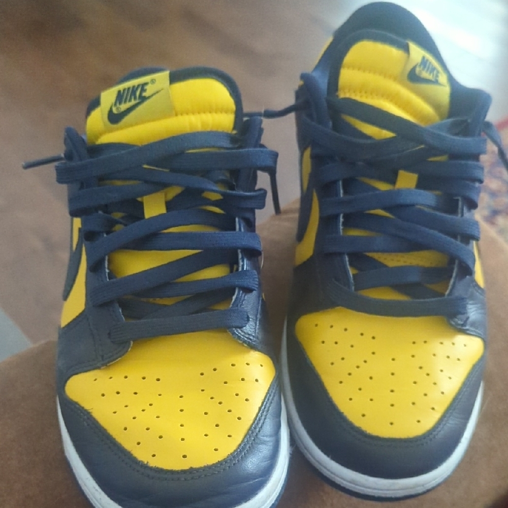 Nike Dunks 8.5